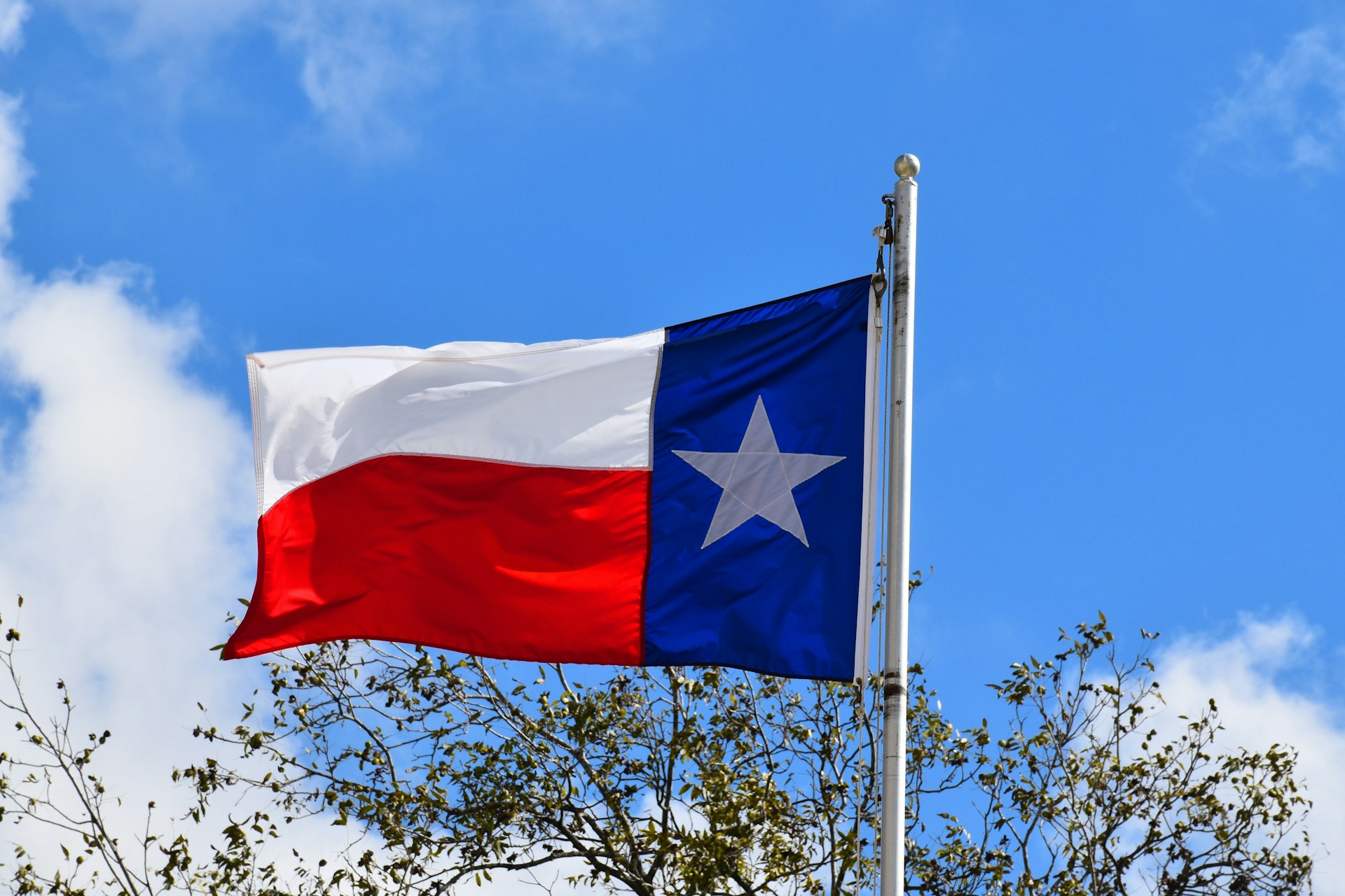A Texas state flag flying in the wind